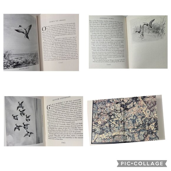 Gunners Dawn Collectors Edition By Roland Clark Hardcover Hunting Waterfowl Art - Picture 6 of 16